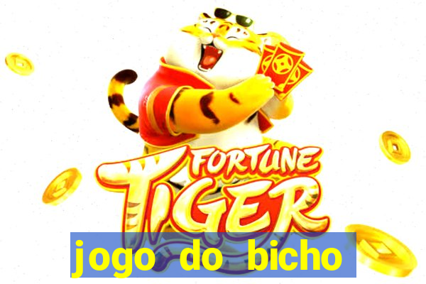 jogo do bicho crash bingo